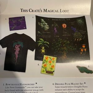 Harry Potter gift set!